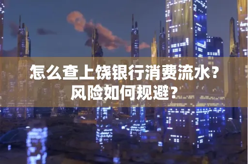 怎么查上饶银行消费流水?风险如何规避?