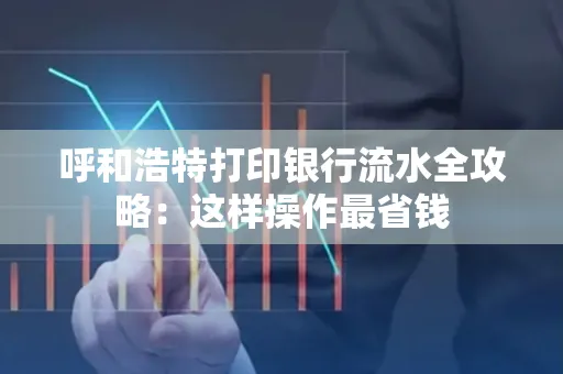 呼和浩特打印银行流水全攻略:这样操作最省钱