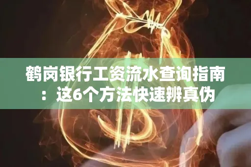 鹤岗银行工资流水查询指南:这6个方法快速辨真伪