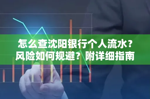 怎么查沈阳银行个人流水?风险如何规避?附详细指南