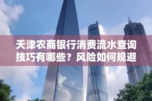 天津农商银行消费流水查询技巧有哪些?风险如何规避?