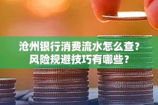 沧州银行消费流水怎么查?风险规避技巧有哪些?