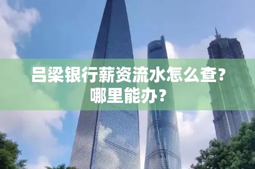 吕梁银行薪资流水怎么查?哪里能办?