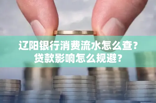 辽阳银行消费流水怎么查?贷款影响怎么规避?
