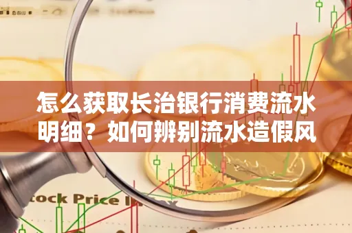 怎么获取长治银行消费流水明细?如何辨别流水造假风险?