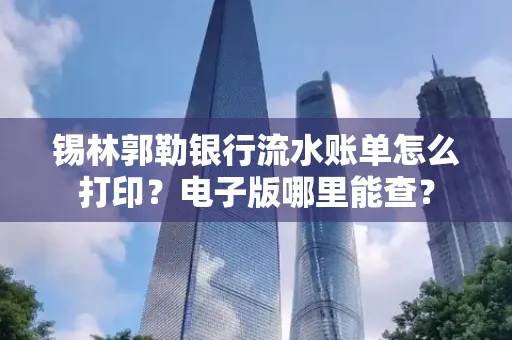 锡林郭勒银行流水账单怎么打印?电子版哪里能查?