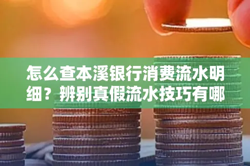 怎么查本溪银行消费流水明细?辨别真假流水技巧有哪些?