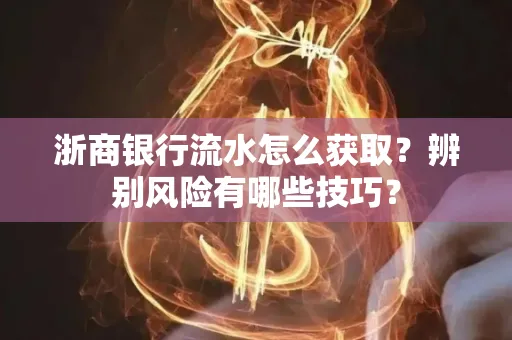 浙商银行流水怎么获取？辨别风险有哪些技巧？
