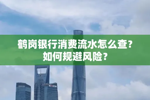 鹤岗银行消费流水怎么查？如何规避风险？