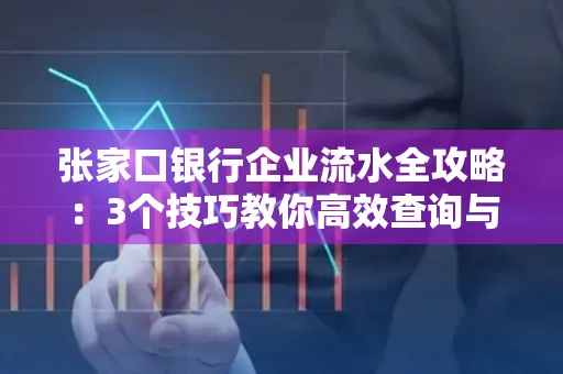 张家口银行企业流水全攻略：3个技巧教你高效查询与风险规避