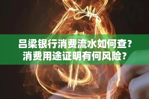 吕梁银行消费流水如何查？消费用途证明有何风险？