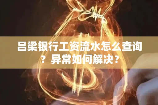 吕梁银行工资流水怎么查询?异常如何解决?