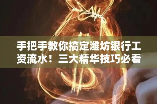 手把手教你搞定潍坊银行工资流水!三大精华技巧必看