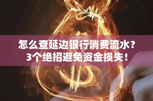 怎么查延边银行消费流水？3个绝招避免资金损失！