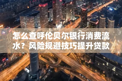 怎么查呼伦贝尔银行消费流水？风险规避技巧提升贷款率？
