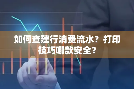 如何查建行消费流水？打印技巧哪款安全？